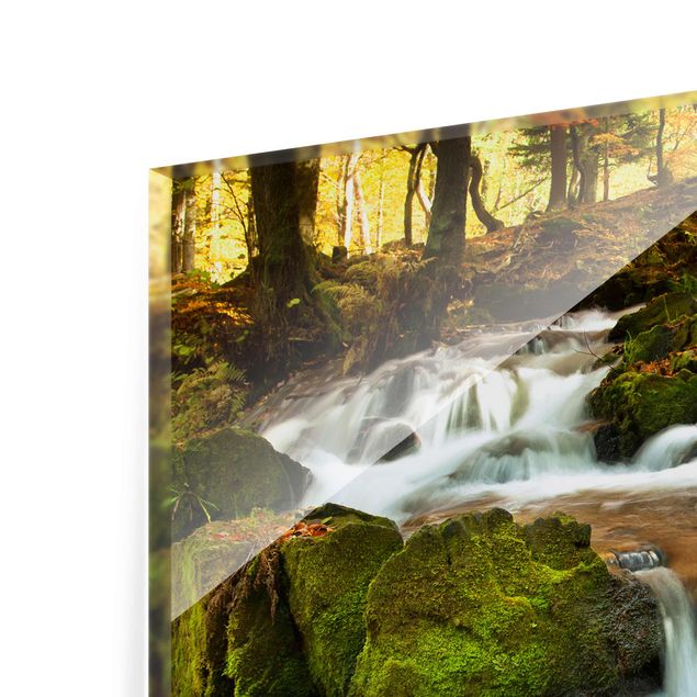 Glasbild - Wasserfall herbstlicher Wald - Quer 3:2