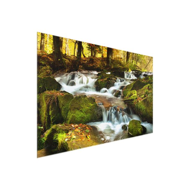 Bilder auf Glas Wasserfall herbstlicher Wald