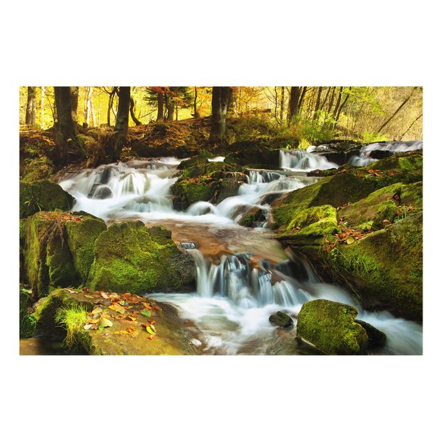 Glasbild - Wasserfall herbstlicher Wald - Quer 3:2