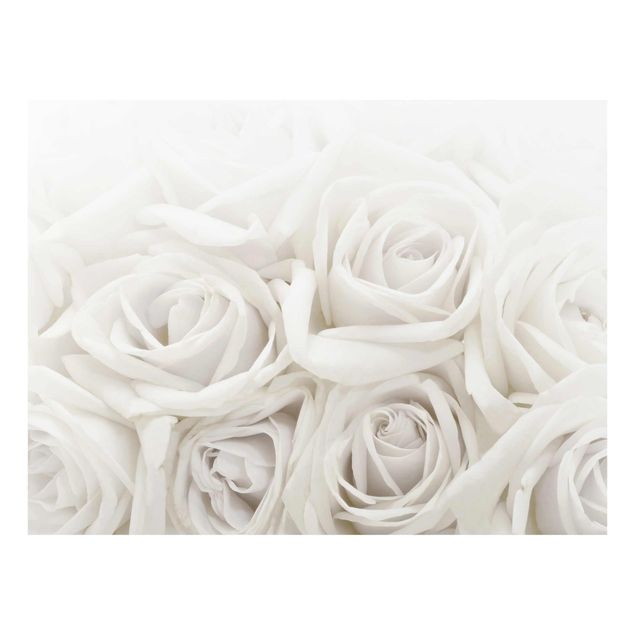Glasbild weiße Rosen - Wedding Roses - Blumenbild Glas Quer 4:3