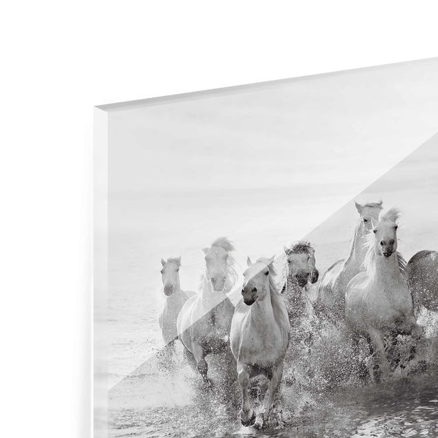 Glasbild - Weiße Pferde im Meer - Quer 3:2