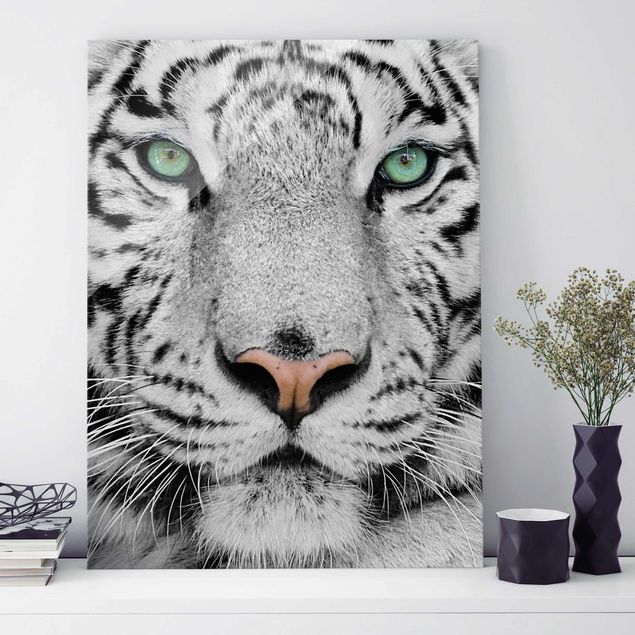 Glas Wandbilder XXL Weißer Tiger
