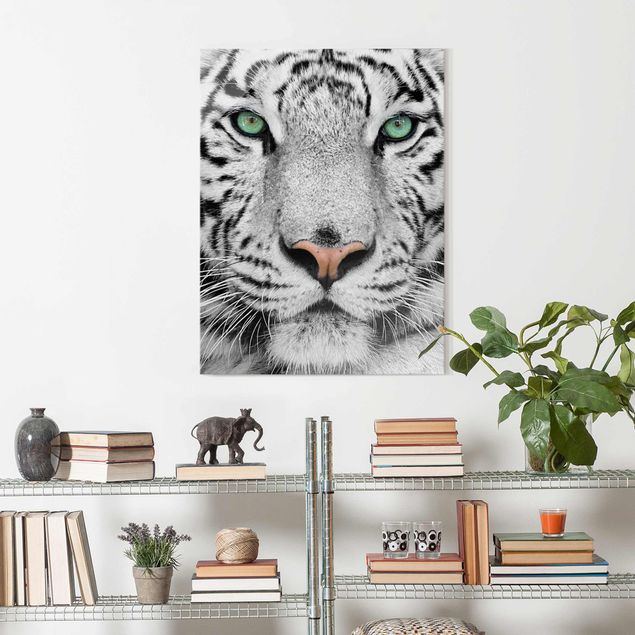 Glasbilder Tiere Weißer Tiger