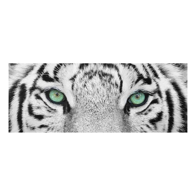 Bilder auf Glas Weißer Tiger