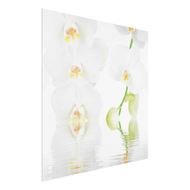 Glasbilder Wellness Orchidee