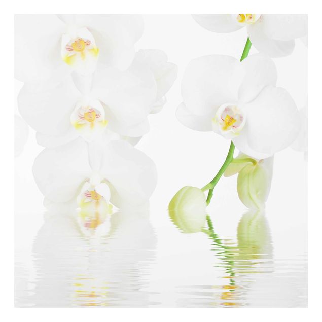 Glasbild - Wellness Orchidee - Quadrat 1:1