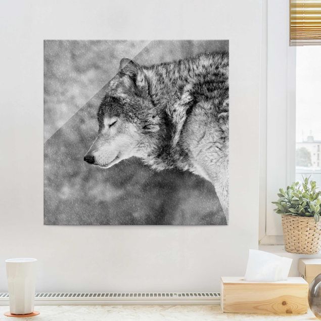 Glasbild schwarz-weiß Winter Wolf