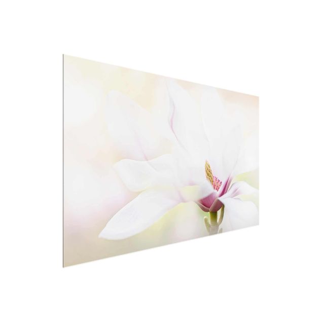 Glasbilder Zarte Magnolienblüte