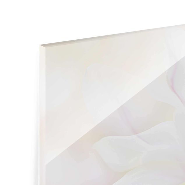 Glasbild - Zarte Magnolienblüte - Querformat 3:2