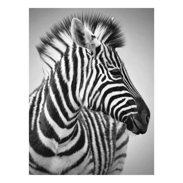Glasbilder Zebra Baby Portrait II