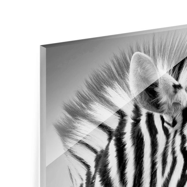 Glasbild - Zebra Baby Portrait II - Hoch 3:4