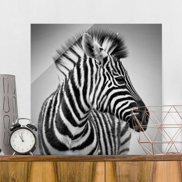 Glasbild - Zebra Baby Portrait II - Quadrat 1:1