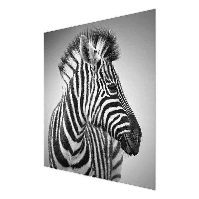 Glasbild - Zebra Baby Portrait II - Quadrat 1:1