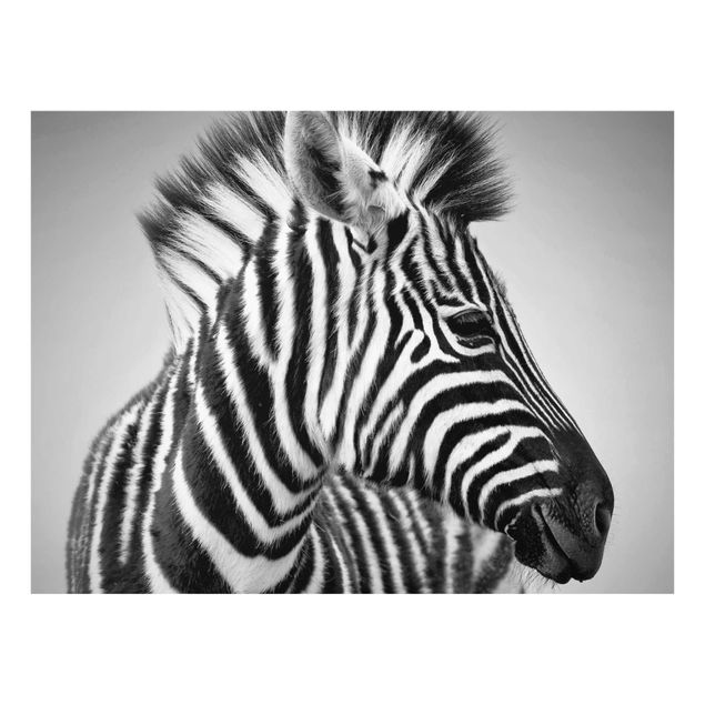 Glas Wandbilder Zebra Baby Portrait II
