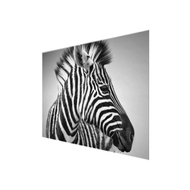 Glasbild - Zebra Baby Portrait II - Quer 4:3