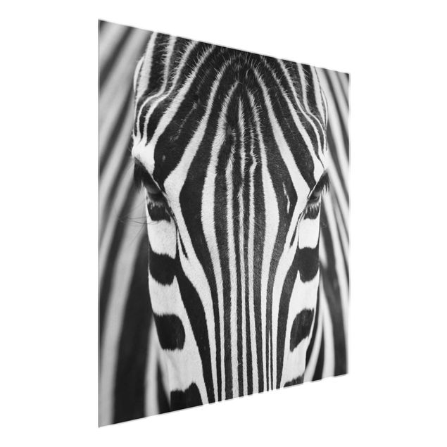 Bilder Zebra Look