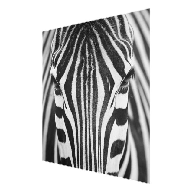 Glasbild - Zebra Look - Quadrat 1:1