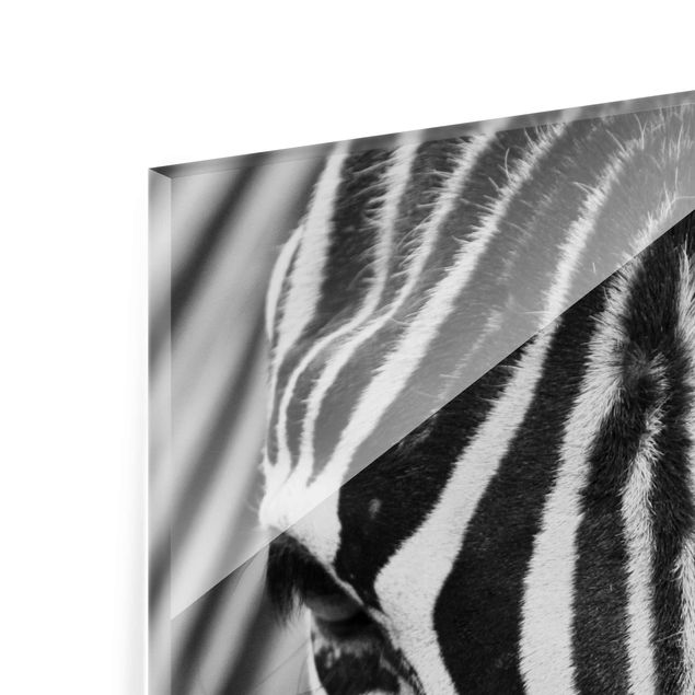Glasbild - Zebra Look - Quadrat 1:1