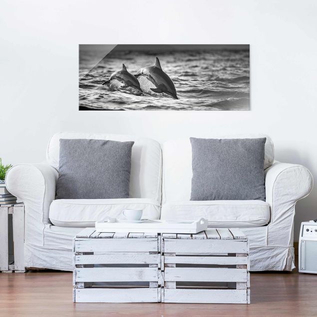 Glasbilder Schwarz-Weiß Zwei springende Delfine
