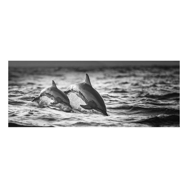 Glas Wandbilder Zwei springende Delfine