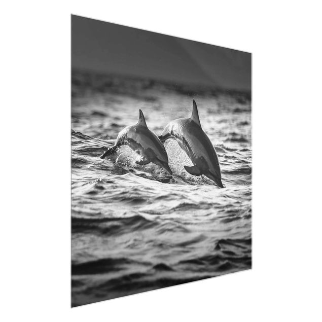 Bilder Zwei springende Delfine