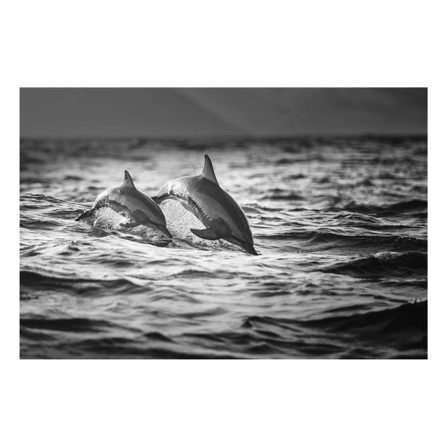 Bilder auf Glas Zwei springende Delfine