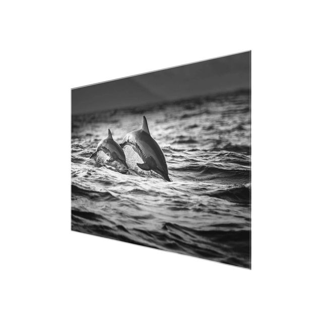 Glasbild - Zwei springende Delfine - Querformat 3:4