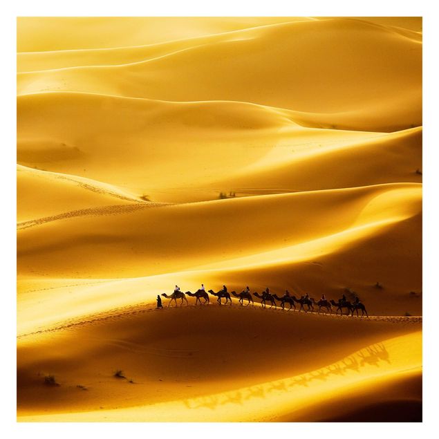 Fototapete - Golden Dunes