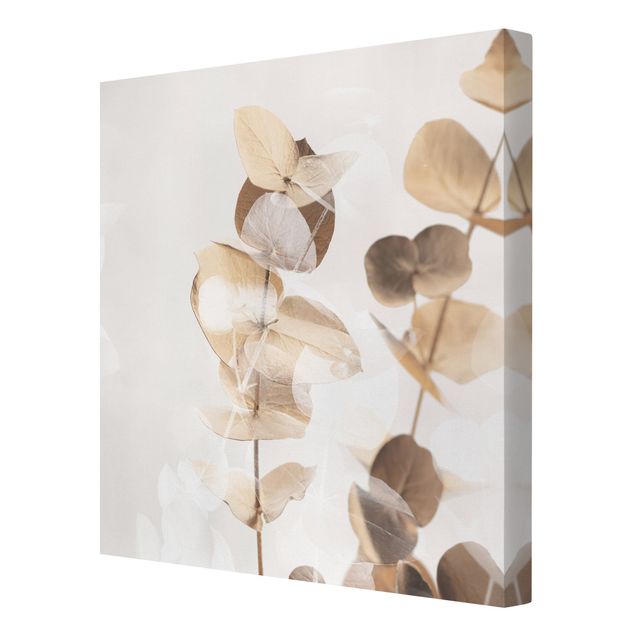 Leinwandbild - Goldene Eukalyptuszweige mit Weiß II - Quadrat 1:1