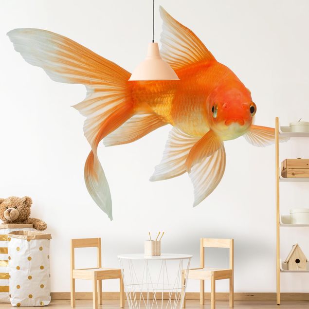 Fototapete Unterwasser Goldfish is Watching you