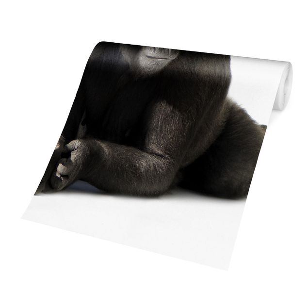 Fototapete - Gorilla I