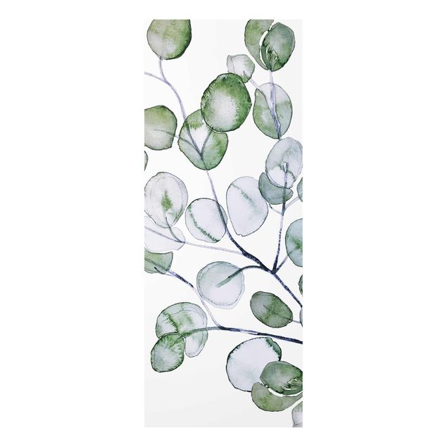 Bilder auf Glas Grünes Aquarell Eukalyptuszweig