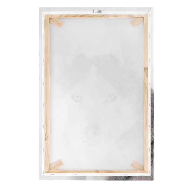 Leinwandbild - Husky Portrait - Hochformat 2:3