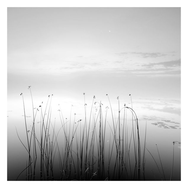 Fototapete selbstklebend Idylle am See Schwarz-Weiß