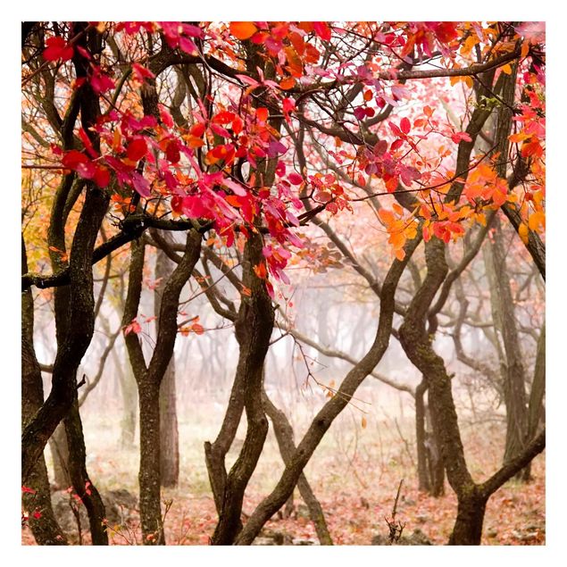 Fototapete - Japan im Herbst