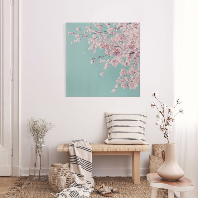Monika Strigel Bilder Japanische Kirschblüte