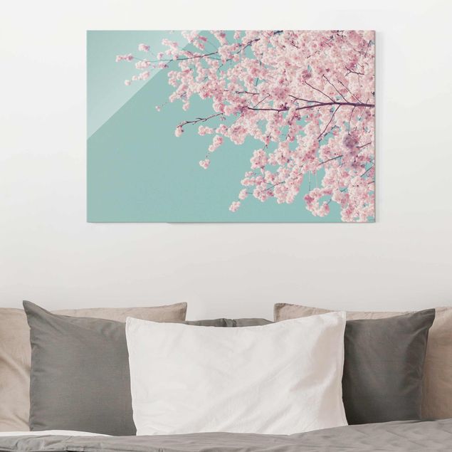 XXL Glasbilder Japanische Kirschblüte
