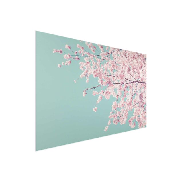 Wandbilder Japanische Kirschblüte