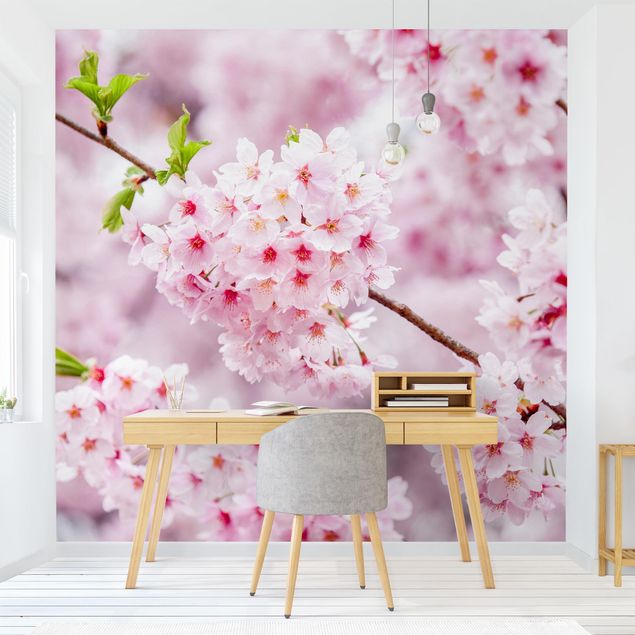 Tapete Blumen Japanische Kirschblüten
