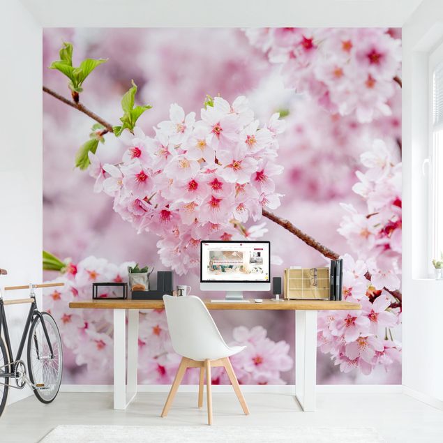 Design Tapeten Japanische Kirschblüten
