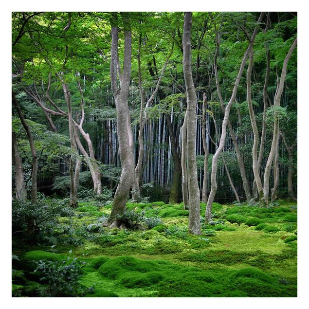 Fototapete - Japanischer Wald