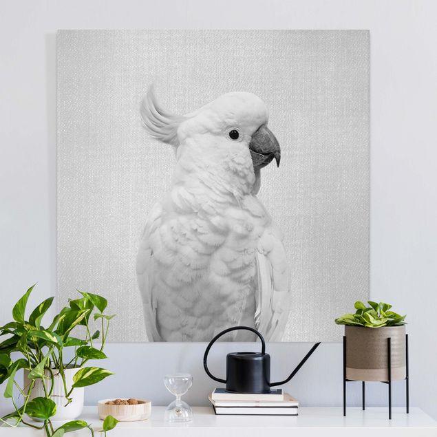 Leinwandbild Vögel Kakadu Kiki Schwarz Weiß