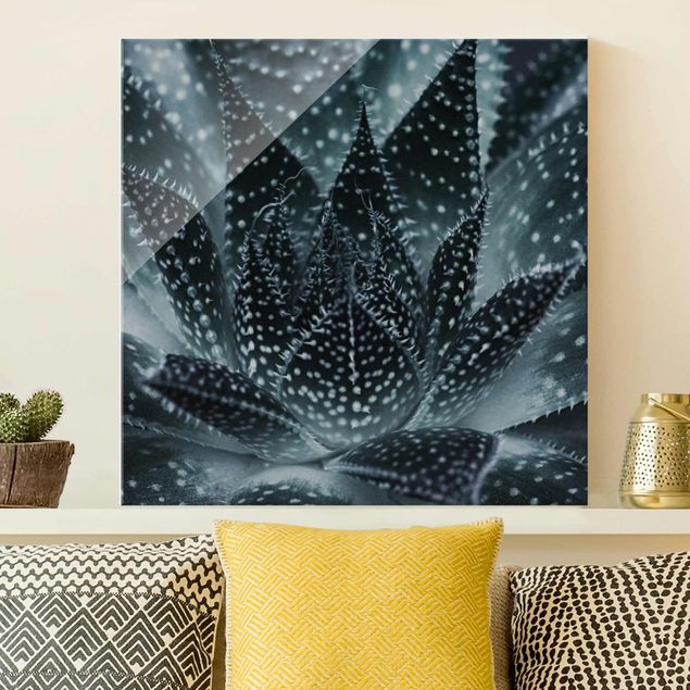 Glasbilder XXL Kaktus mit Sternpunkten bei Nacht