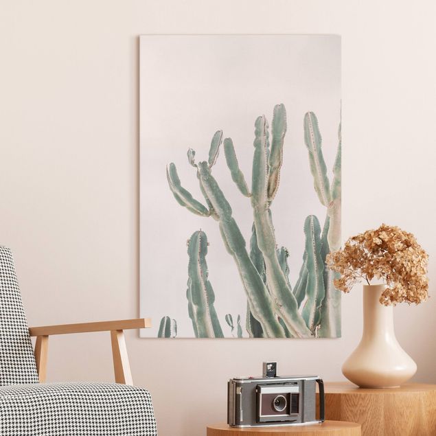 Leinwandbilder Blumen Kaktus vor Pastellrosa