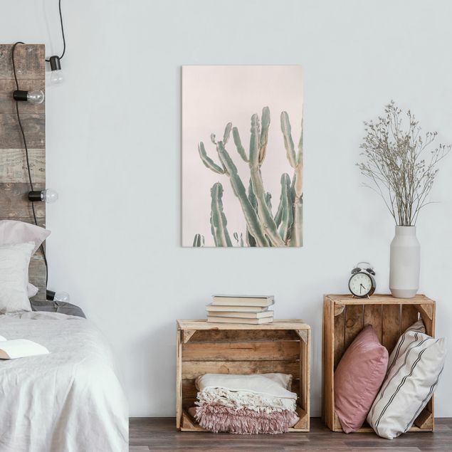 Leinwandbilder Kaktus vor Pastellrosa