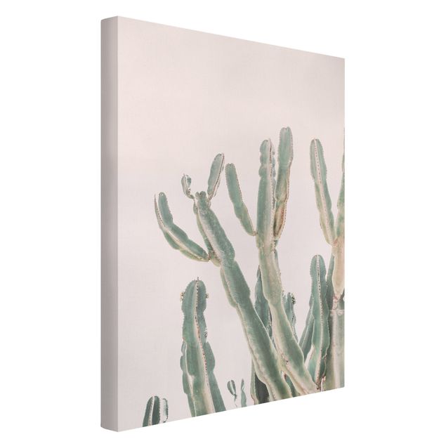 Leinwandbild - Kaktus vor Pastellrosa - Hochformat 2:3