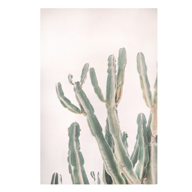 Leinwandbild - Kaktus vor Pastellrosa - Hochformat 2:3