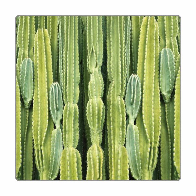 Teppich - Kaktus Wand
