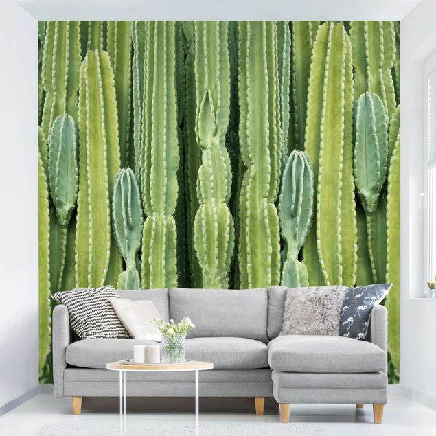 Muster Tapete Kaktus Wand
