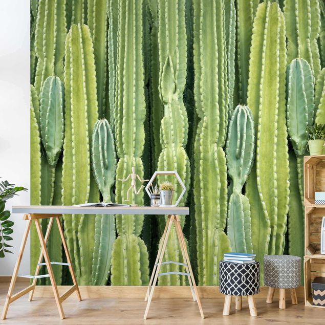 Tapeten kaufen Kaktus Wand